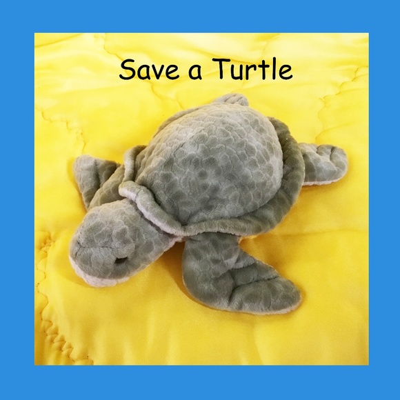 Among Our Beautiful Oceans - Picture 1 of 1